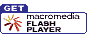 ico-flash